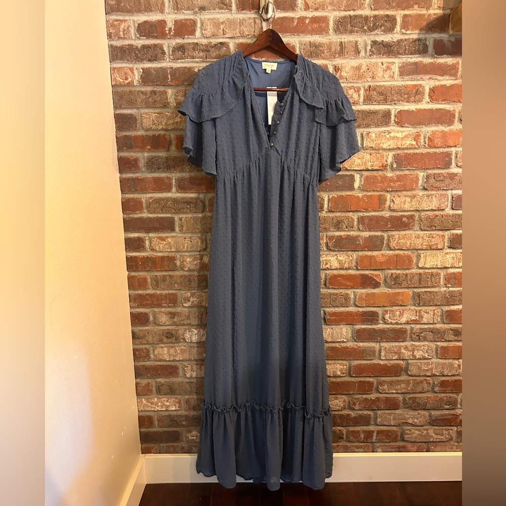 VICI maxi dress